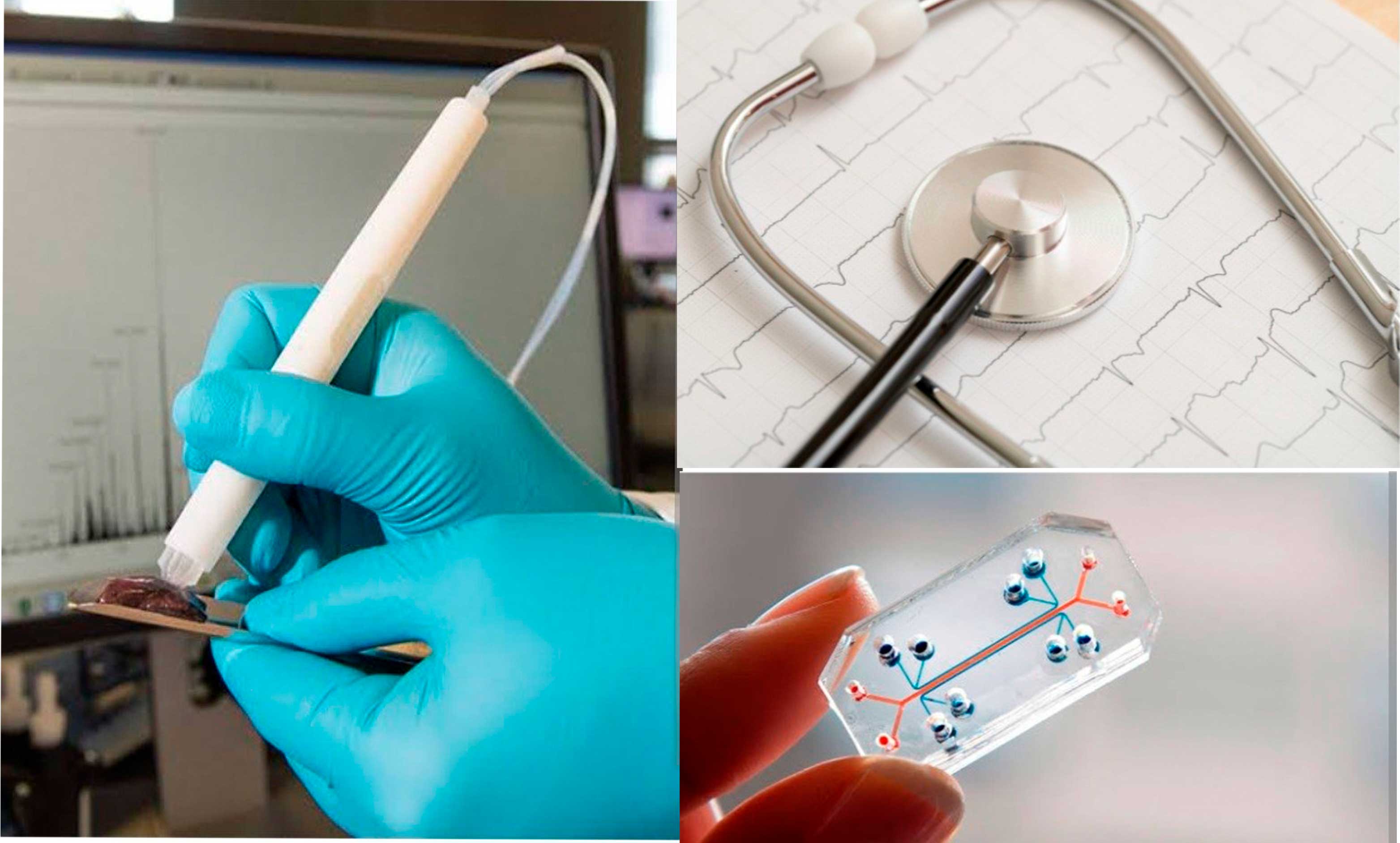 Keselleri anyklamakda häzirkizaman innowasion tehnologiýalarynyň ulanylyşy 